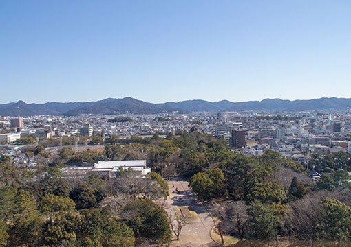 地域密着型で地元に詳しい